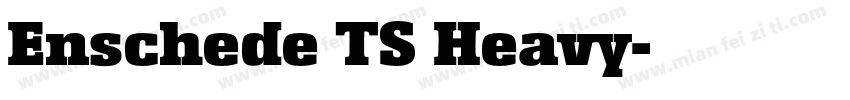Enschede TS Heavy字体转换